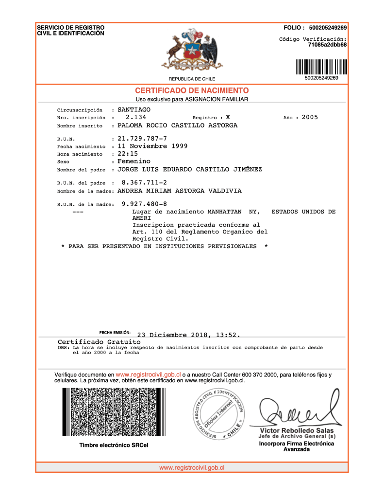 Original Spanish Chilean birth certificate sample issued by the Civil Registry