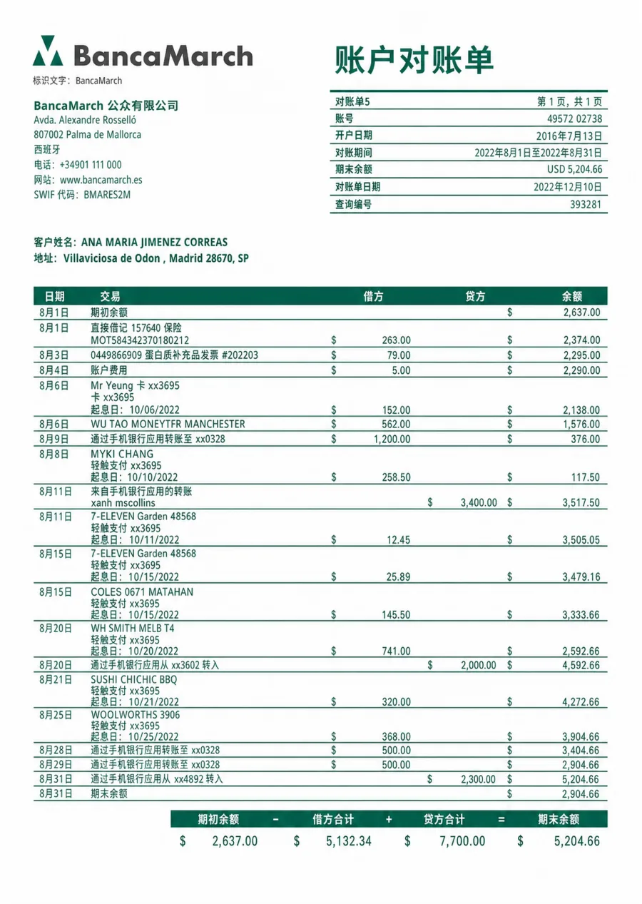 Bank Statement - translated document in Simplified Chinese