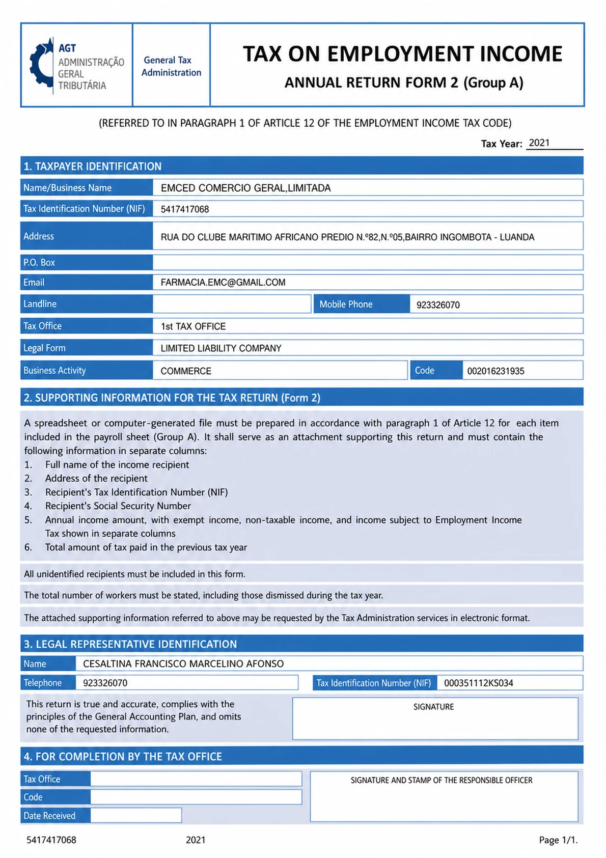 Tax Return / Tax Statement - translated document in English